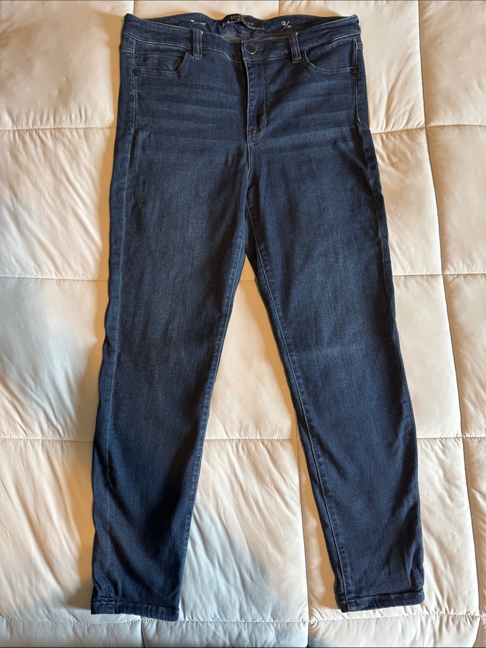 Liverpool Women's Skinny Jeans in Dark Blue Wash